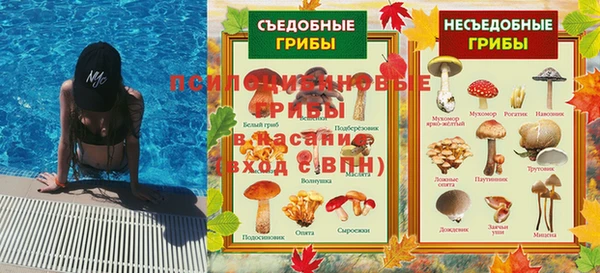 скорость Ладушкин