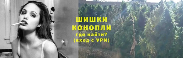 скорость Ладушкин