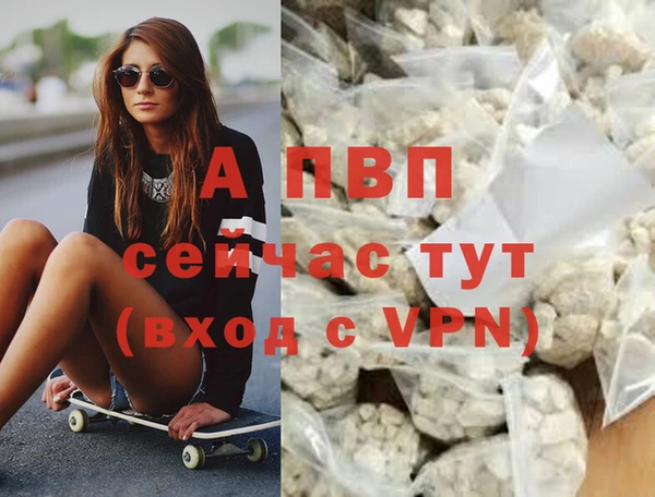 спиды Лабытнанги