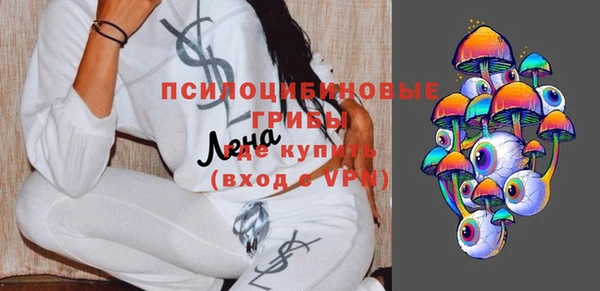 скорость Ладушкин