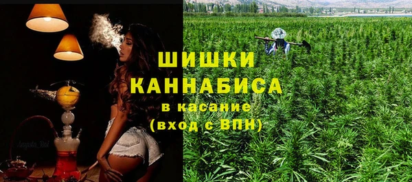 скорость Ладушкин