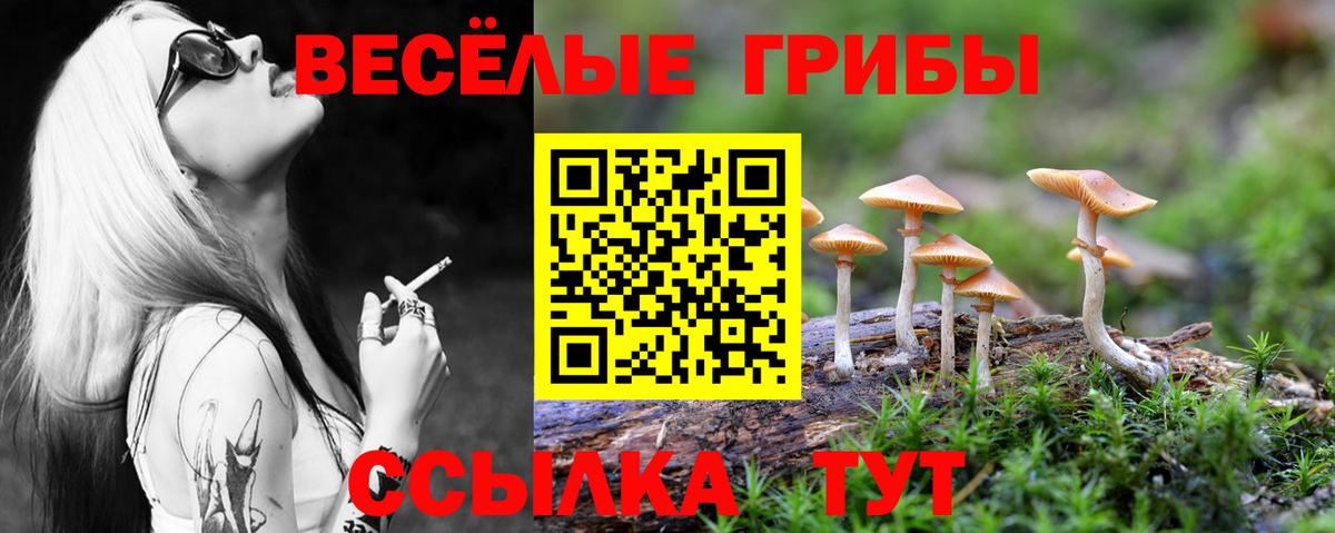 Михайловка  цена   Вход с VPN  Псилоцибиновые грибы ЛСД 