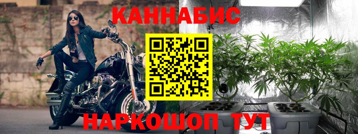 Бошки Шишки SATIVA & INDICA  Канабис Ganja  Вход с VPN  Марихуана гибрид  Марихуана Ganja  Михайловка 